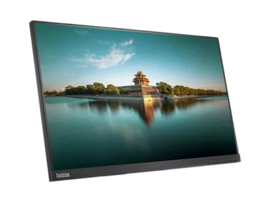Lenovo ThinkVision T24i-10 (without stand)