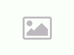 Dell Professional P2210 (without stand)